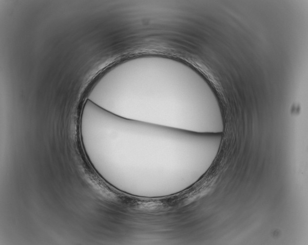X0000096700446200802261609