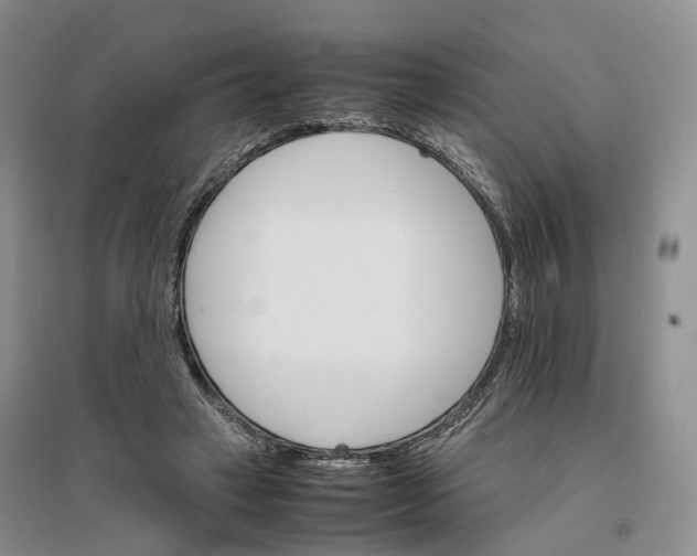 X0000096700449200802261609