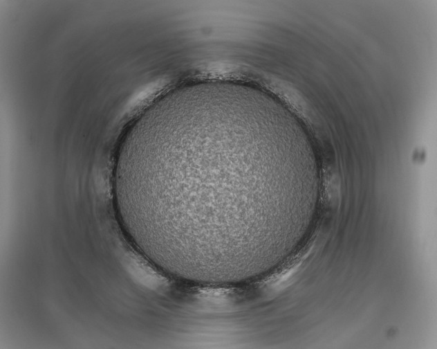 X0000096700450200802261609