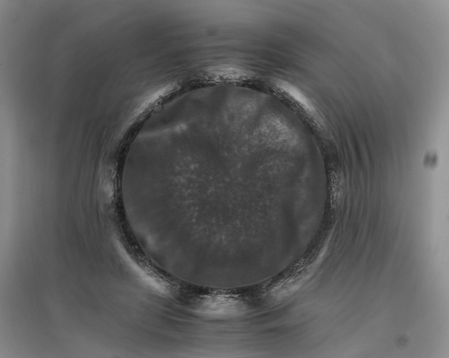 X0000096700451200802261609