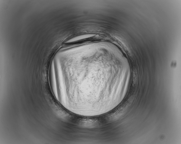 X0000096700453200802261609