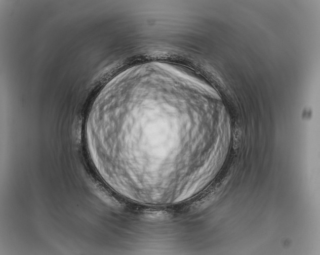 X0000096700454200802261609
