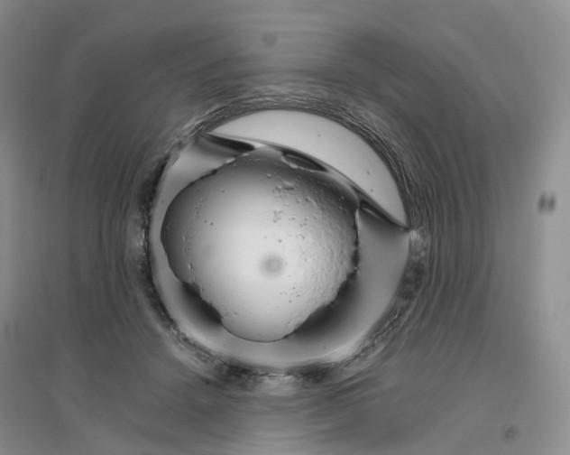 X0000096700456200802261609