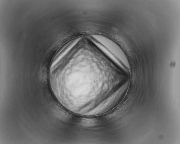X0000096700457200802261609
