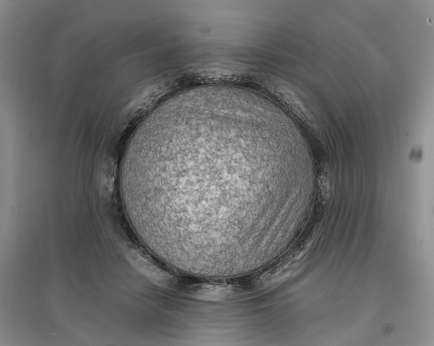 X0000096700458200802261609