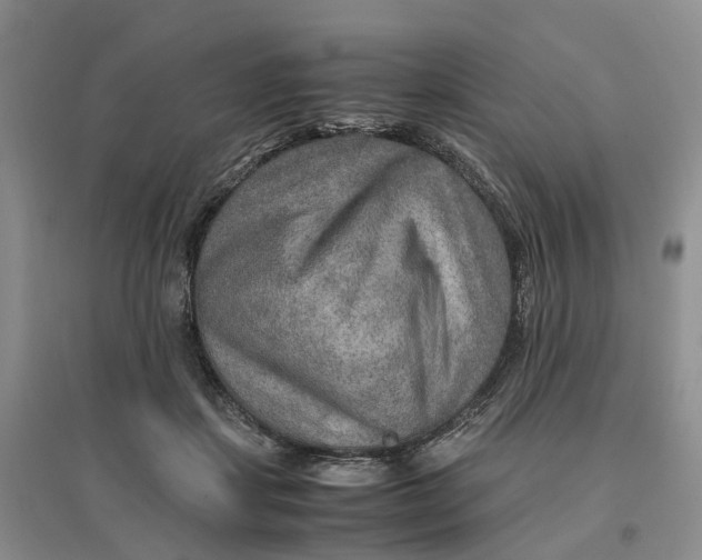 X0000096700459200802261609