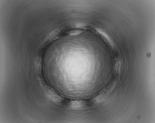 X0000096700461200802261609