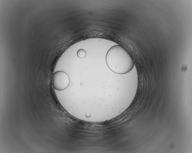 X0000096700463200802261609