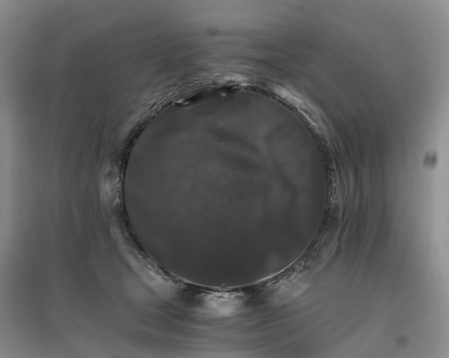 X0000096700465200802261609