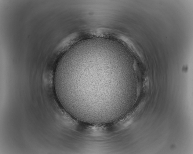 X0000096700466200802261609