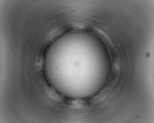 X0000096700468200802261609