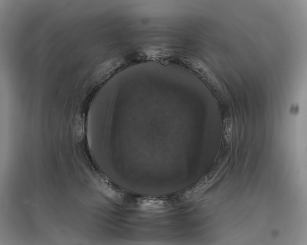 X0000096700471200802261609