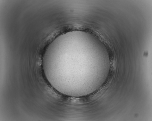 X0000096700472200802261609