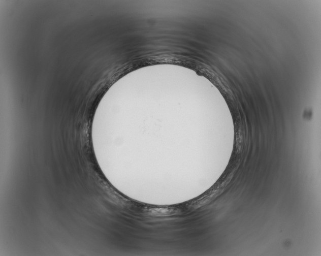 X0000096700473200802261609