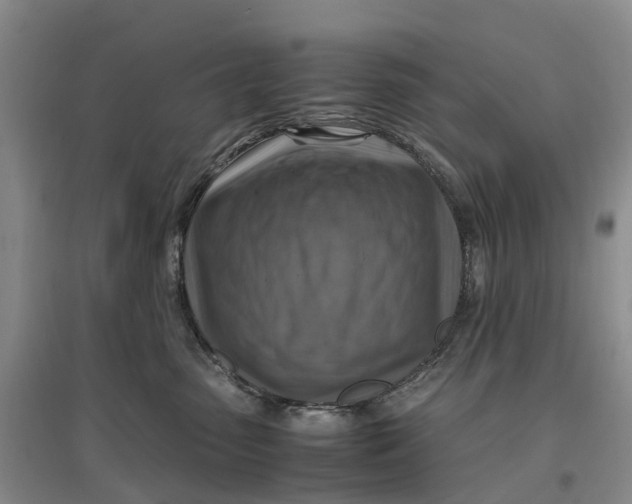 X0000096700475200802261609