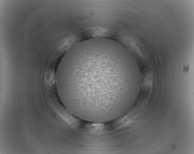 X0000096700478200802261609