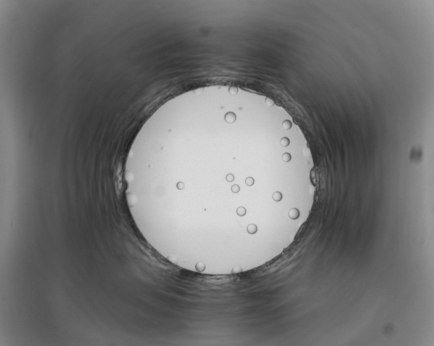 X0000096700479200802261609