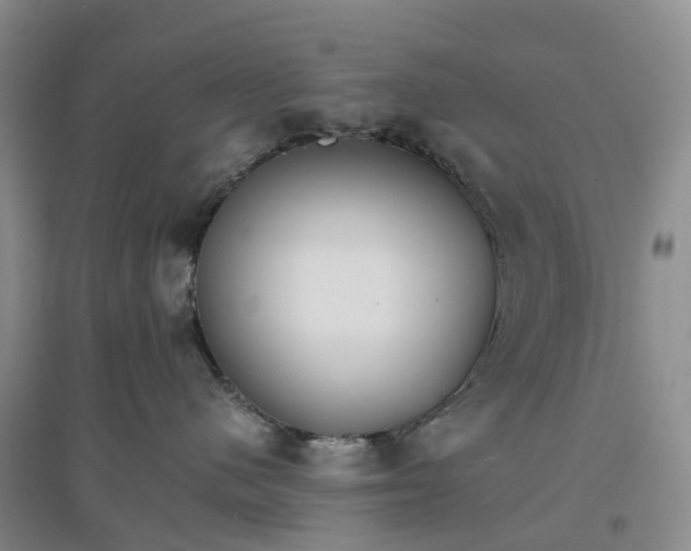 X0000096700480200802261609