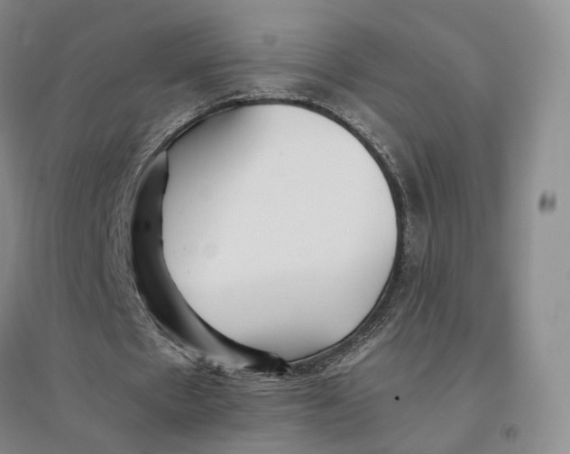 X0000096700481200802261609