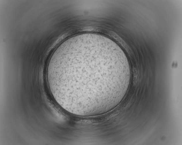 X0000096700482200802261609