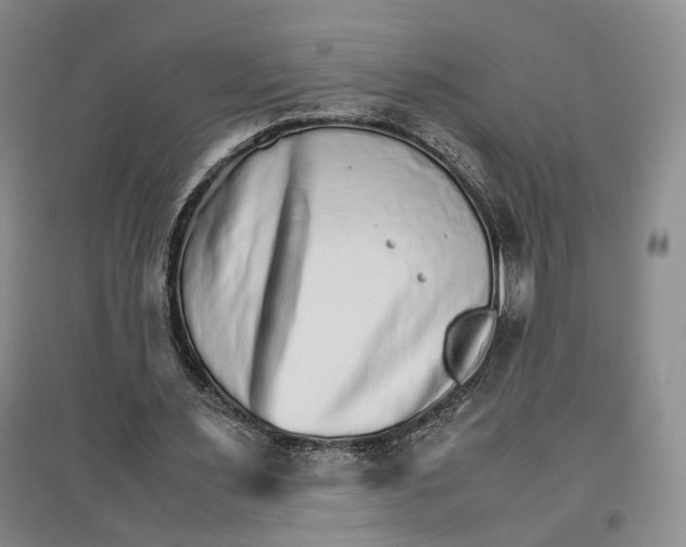 X0000096700483200802261608