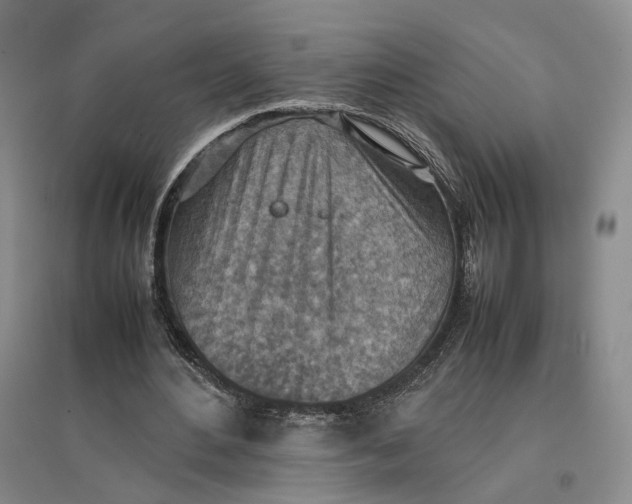 X0000096700484200802261608