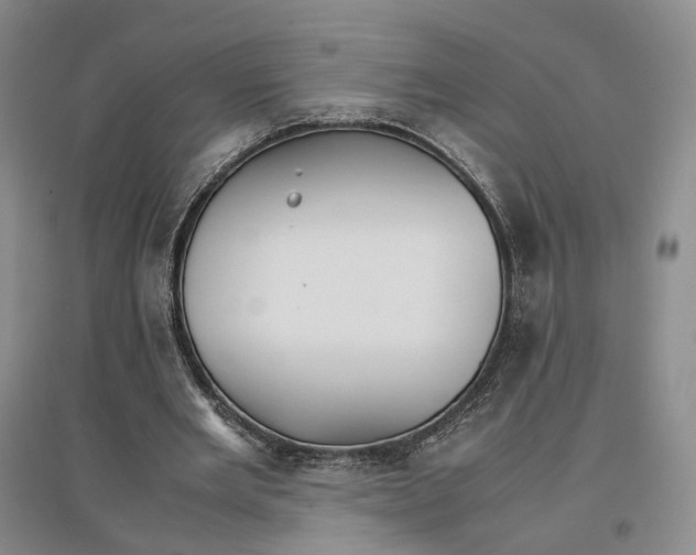 X0000096700485200802261608