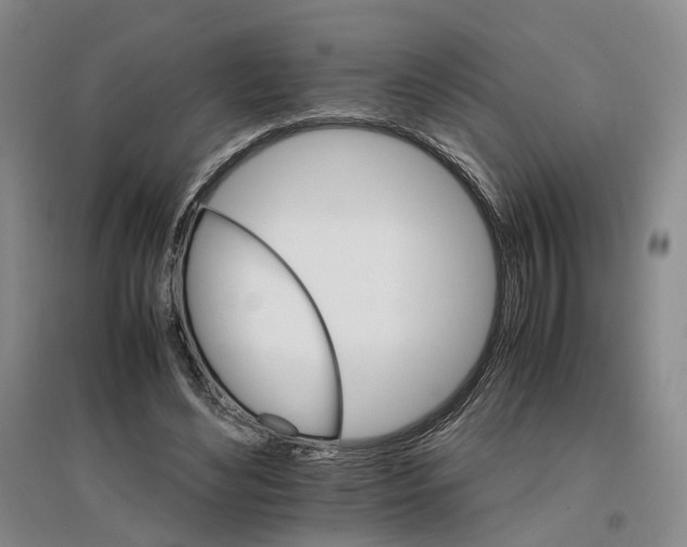X0000096700492200802261608