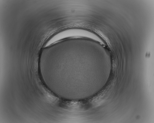 X0000096700493200802261608