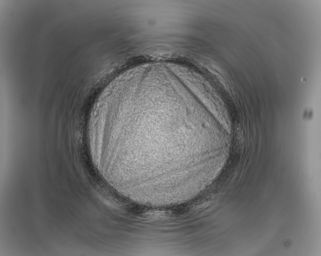 X0000096700499200802261608