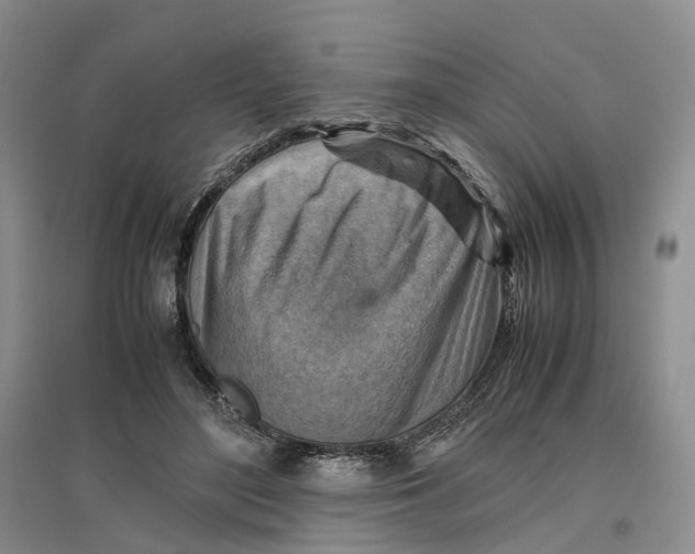 X0000096700500200802261608