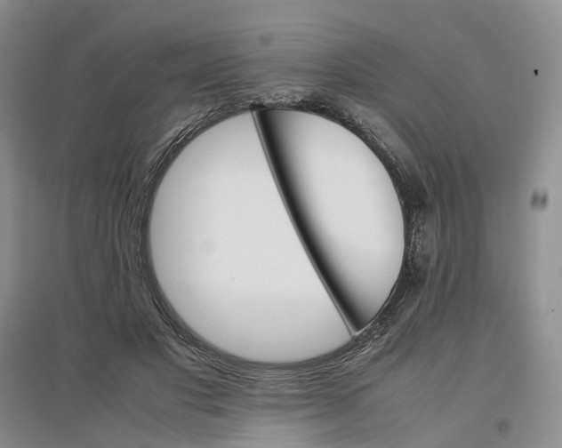 X0000096700501200802261608