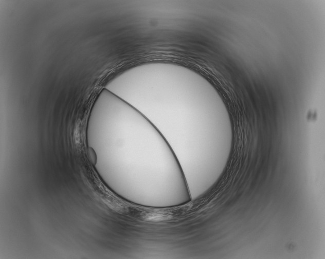 X0000096700504200802261608