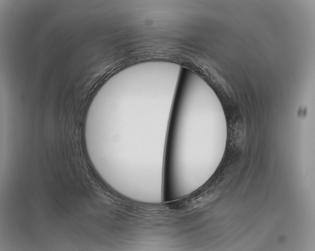 X0000096700505200802261608