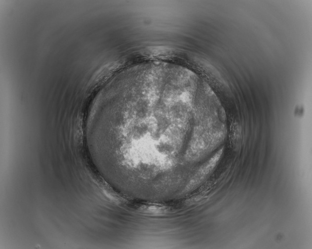 X0000096700506200802261608