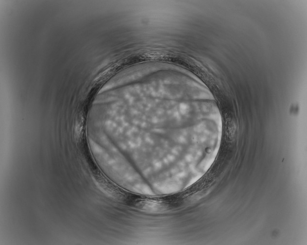 X0000096700507200802261608