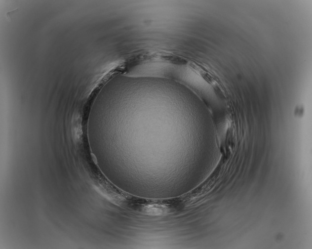 X0000096700508200802261608