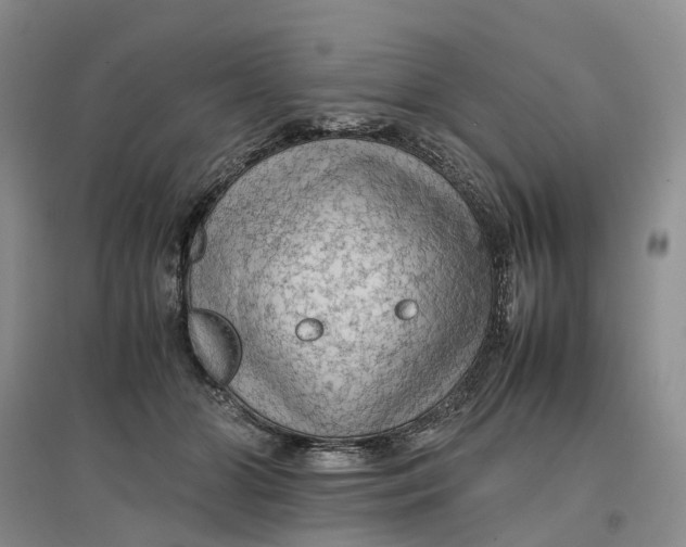 X0000096700510200802261608