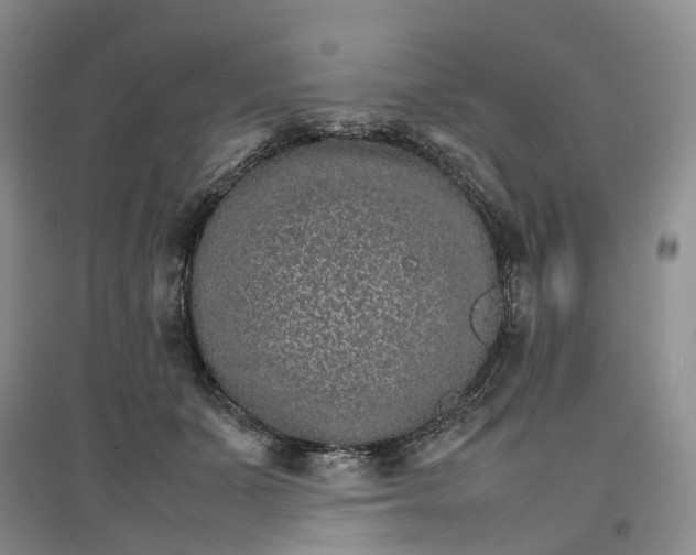 X0000096700511200802261608