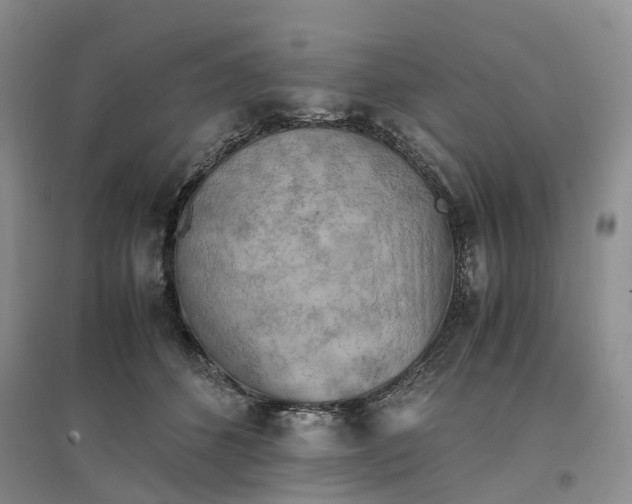 X0000096700512200802261608