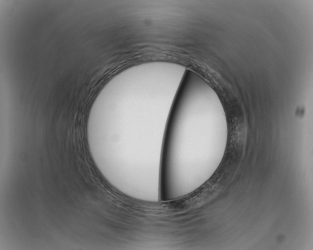 X0000096700513200802261608