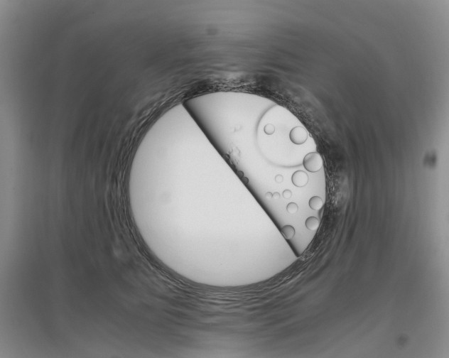 X0000096700515200802261608
