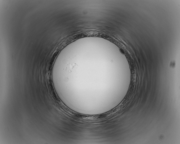 X0000096700516200802261608