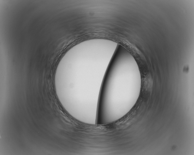 X0000096700517200802261608