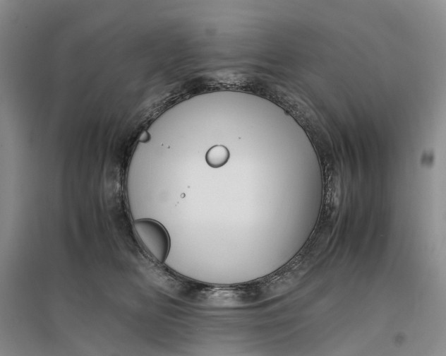X0000096700518200802261608