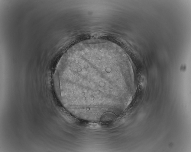 X0000096700519200802261608