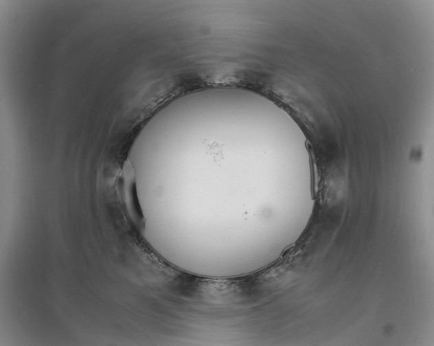 X0000096700521200802261608