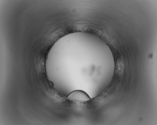 X0000096700522200802261608