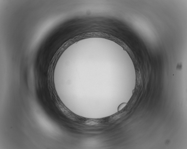 X0000096700526200802261608