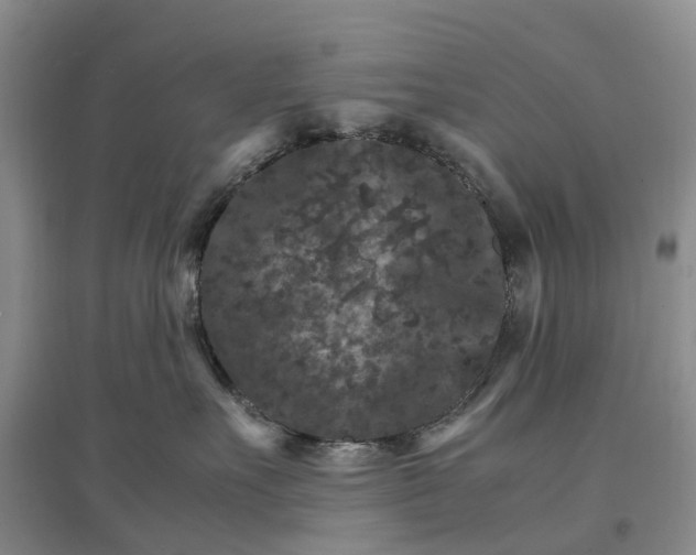 X0000096700527200802261608